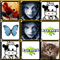 Member Avatar Tiles