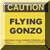 Flying Gonzo